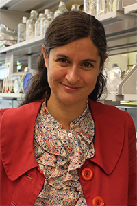 Susanne E. Ahmari, M.D., Ph.D. - Brain & Behavior Research Expert on adhd