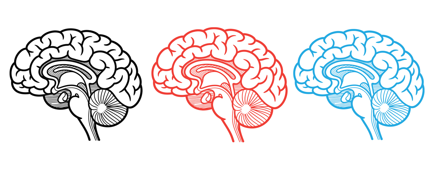 In Children with ADHD, Neuroimaging Data Reveals 3 Distinct Neural Biotypes
