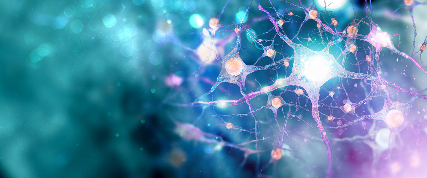 Important Advance in Brain Organoid Technology Provides Platform to Study Pathology and Test Therapies for Autism, Schizophrenia, Dementia, Cerebral Palsy, Among Others
