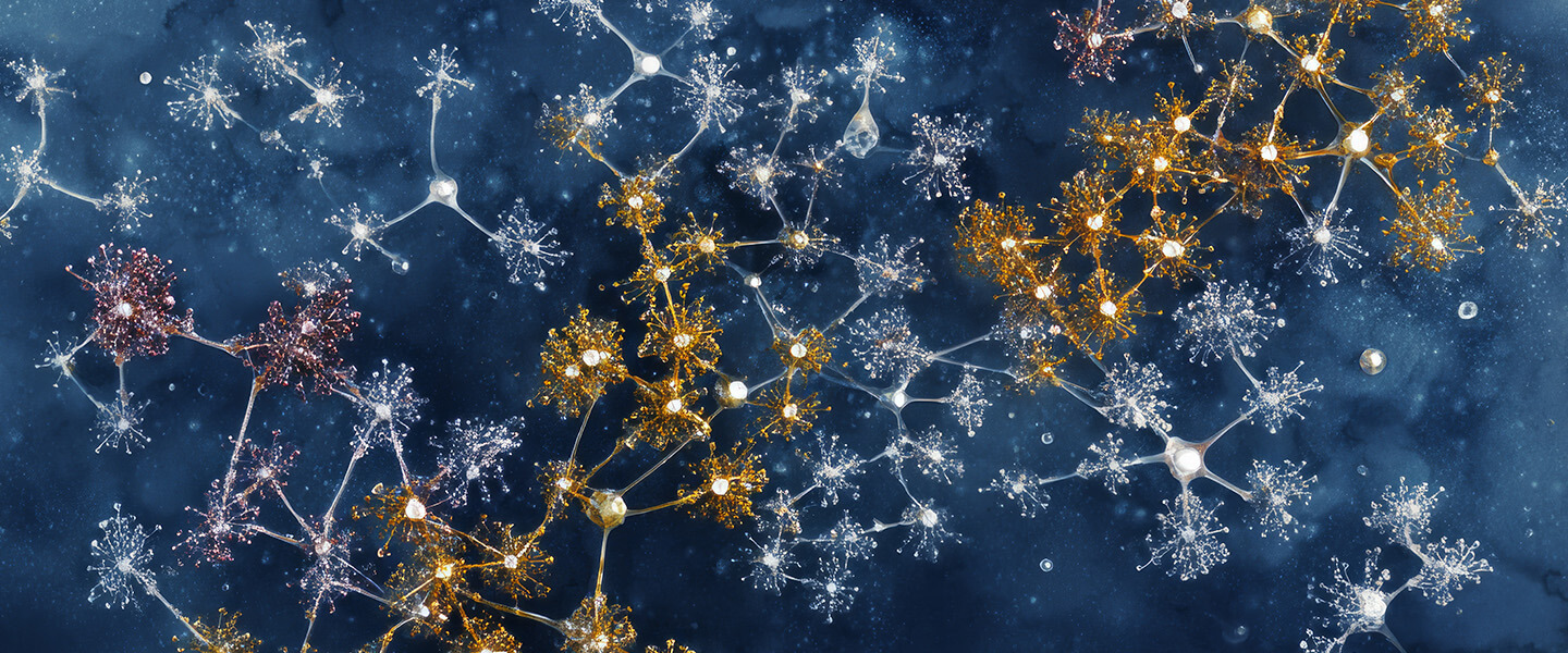 Direct Evidence of Ketamine’s Antidepressant Action in Imaging Study of Excitatory Neuronal Receptors
