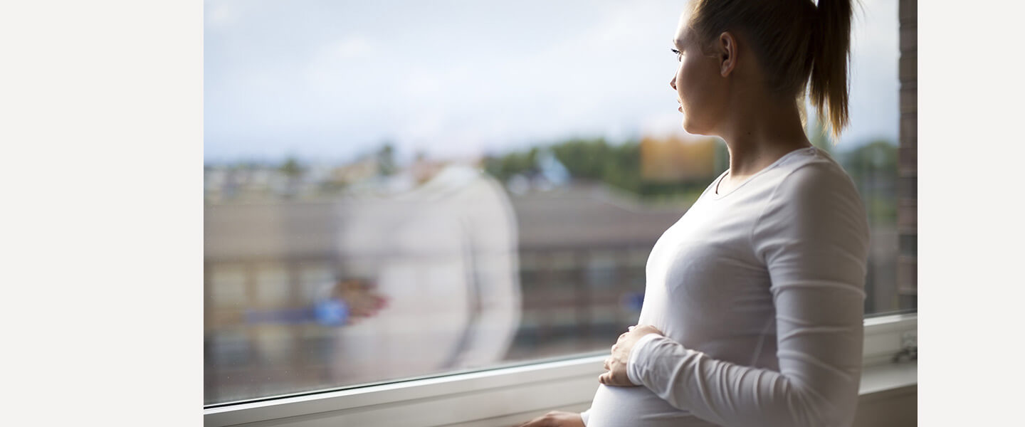 Distinctive Effects of a Second Pregnancy on the Brain and the Mother’s Mental Health
