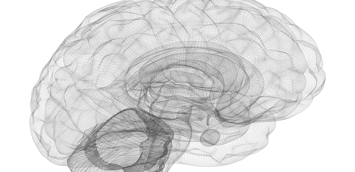 In a Comparison of Two Kinds of Cognitive Training, One Appeared to Help Schizophrenia Patients More
