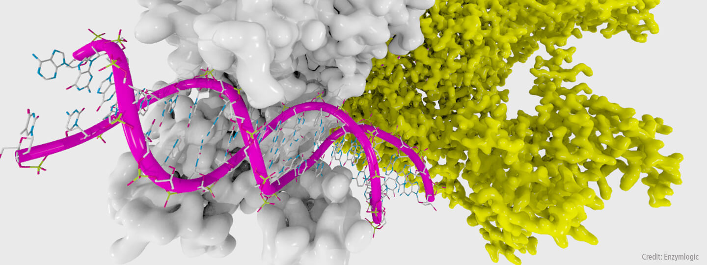 Researchers Study ‘Background’ Mutations That Can Impact Schizophrenia and Autism
