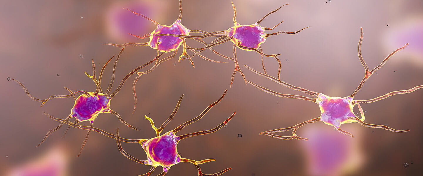 Adult-Born Neurons Protect Against Chronic Stress
