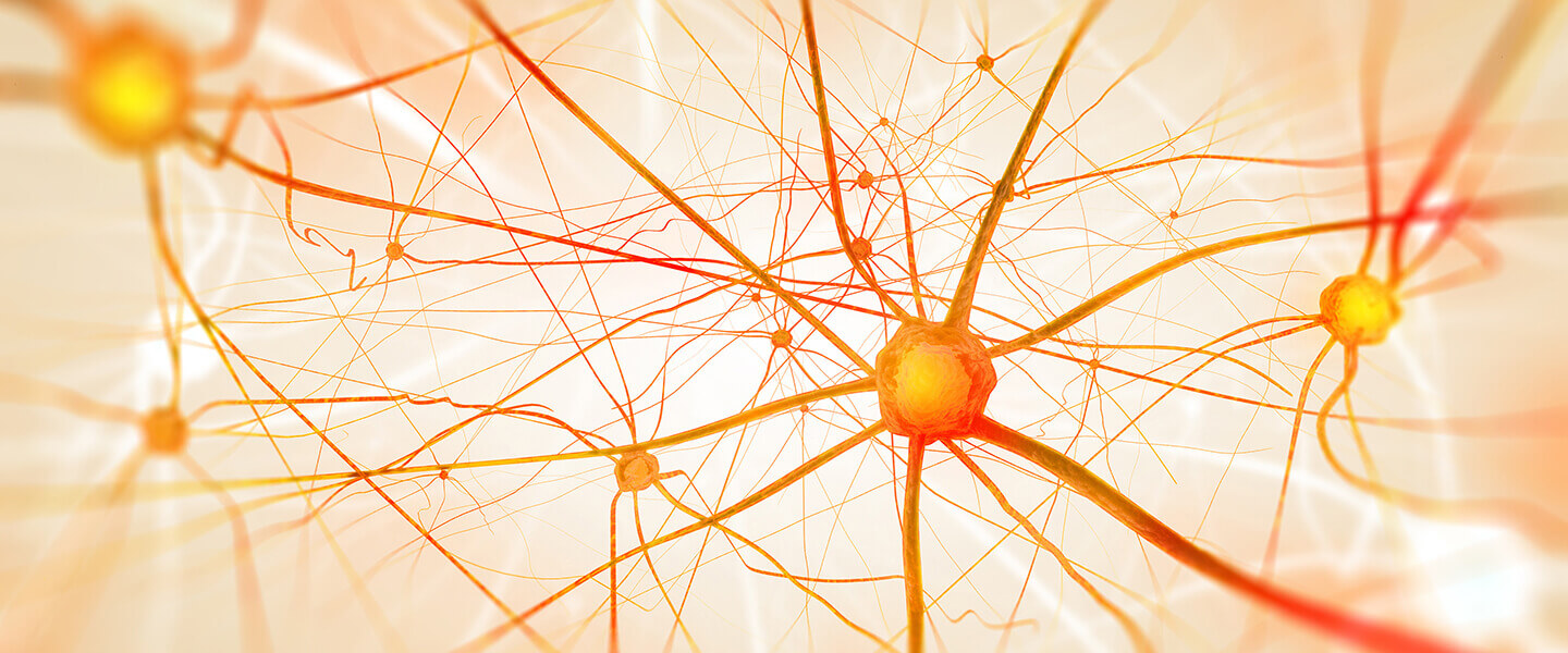 Brain Imaging Shows How Vagus Nerve Stimulation Improves Depression Symptoms
