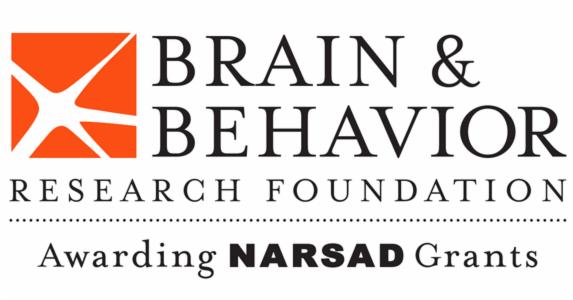 Brain & Behavior Research Foundation Awards Over $13 Million In Young ...