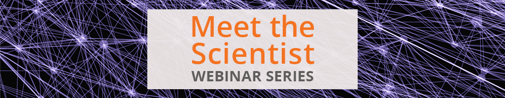 Probing and Rescuing Dysfunctional Brain Circuits in Depression
