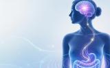 Abnormalities in Perception of GI Tract Signals Are Found to Be a Possible “Core Pathology” in Anorexia Nervosa