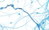 Researchers Trace How Ketamine Acts on Specific Brain Circuits and Synapses to Relieve Anhedonia