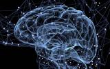 Potential Biomarker May Predict Which Depressed Patients Getting CBT Will Have Added Benefit from tDCS Brain Stimulation