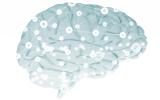 Findings About a Fear-Driven Learning Circuit Could Inform Efforts to Develop More Effective Ptsd Treatments