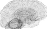 Brain Activity Patterns Could Help Identify Best Treatment for Patients with Major Depression