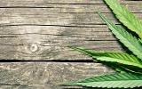In a First Episode of Psychosis (FEP), Distinct Symptoms, Cognition, and EEG Measures Seen in Cannabis Users vs. Non-Users