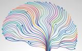 Brain & Behavior Research Foundation-Funded Study Links Schizophrenia, Inflammation & Bacteria