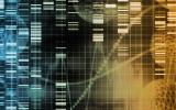 Genetic Anomalies