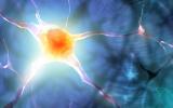 Deep Transcranial Magnetic Stimulation (dTMS)