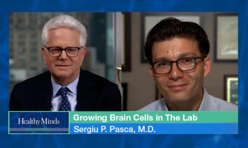 Growing Brain Cells in The Lab