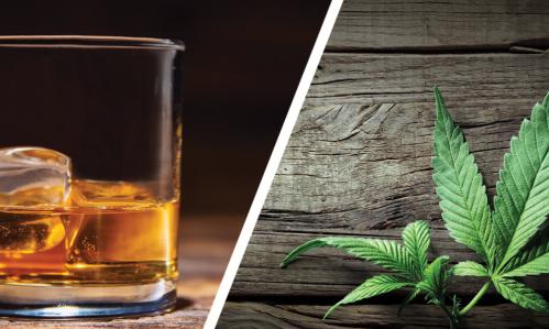 NIH Research Shows Increasing Prevalence & Severity of Cannabis Use Disorder in US Adults, While Alcohol Use Disorder Steadies or Declines a Bit