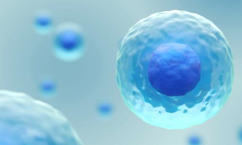 In Youths at High Risk of Psychosis, a Marker in White Blood Cells May Be an Important Indicator of Response to Therapy