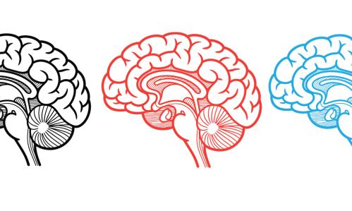 In Children with ADHD, Neuroimaging Data Reveals 3 Distinct Neural Biotypes