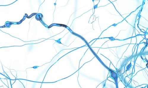 Researchers Trace How Ketamine Acts on Specific Brain Circuits and Synapses to Relieve Anhedonia