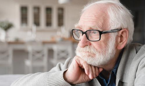 Research Sheds Light on Brain Mechanism Involved in Motivation Decline in the Elderly and How It Might Be Reversed