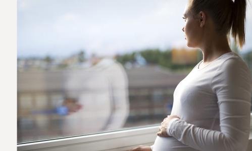 Distinctive Effects of a Second Pregnancy on the Brain and the Mother’s Mental Health
