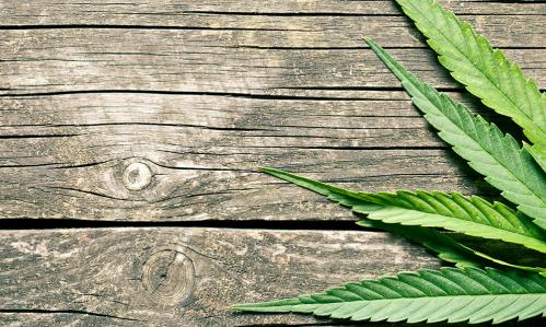 In a First Episode of Psychosis (FEP), Distinct Symptoms, Cognition, and EEG Measures Seen in Cannabis Users vs. Non-Users