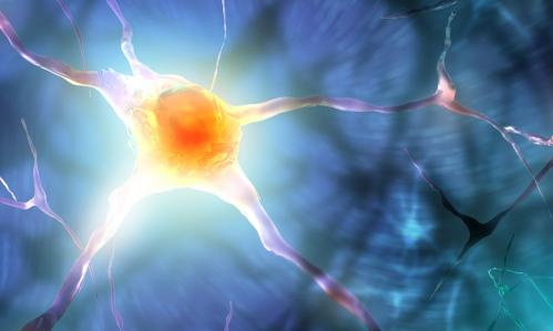 In Schizophrenia, Differences in the Brain’s Energy Pathways Suggest Possible New Treatment Target
