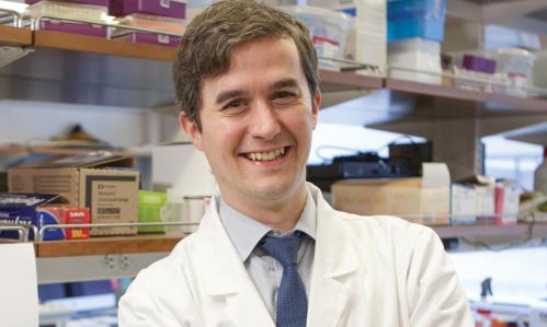 Restoring Dysfunctional Brain Circuits in Depression