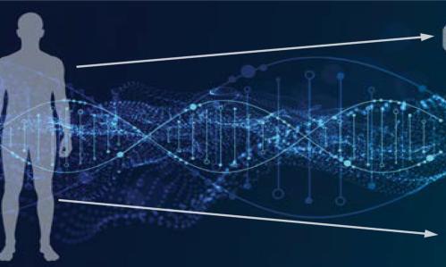 How the Search for Genes Involved in Mental Illness Has Led to Key Insights About Reducing Medication Side Effects