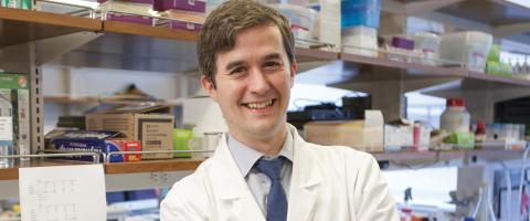 Restoring Dysfunctional Brain Circuits in Depression