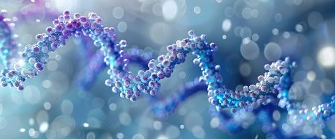 A Proof-of-Concept Test for an RNA-Based Therapy to Prevent Effects of a Devastating Autism-Related Gene Mutation A Proof-of-Concept Test for an RNA-Based Therapy to Prevent Effects of a Devastating Autism-Related Gene Mutation