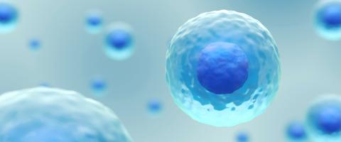 In Youths at High Risk of Psychosis, a Marker in White Blood Cells May Be an Important Indicator of Response to Therapy