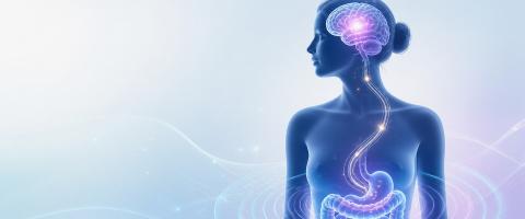 Abnormalities in Perception of GI Tract Signals Are Found to Be a Possible “Core Pathology” in Anorexia Nervosa
