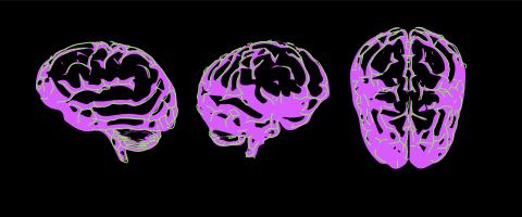 fMRI Imaging Revealed 2 Distinct Autism Subtypes Involving Under- and Over-Connectivity Patterns, with Potential Implications for Therapeutic Targeting