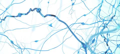 Over the Long Term, Antipsychotic Medicine Stabilized Functional Connectivity in Depressed Patients with Psychosis Over the Long Term, Antipsychotic Medicine Stabilized Functional Connectivity in Depressed Patients with Psychosis