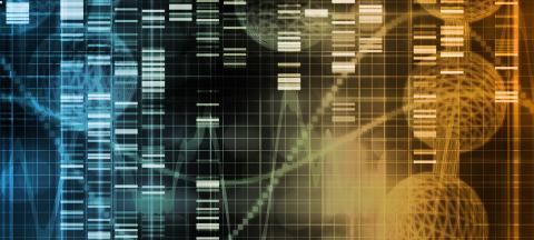 Behavioral Changes in Cocaine Addiction Are Linked to Altered Patterns of Gene Activity in the Striatum Behavioral Changes in Cocaine Addiction Are Linked to Altered Patterns of Gene Activity in the Striatum