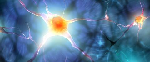 Illustration of nerve cell signaling