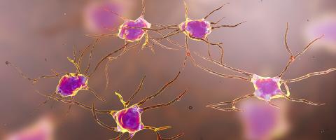 Adult-Born Neurons Protect Against Chronic Stress