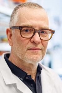 Paul Frankland, Ph.D.