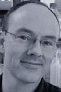 Declan M. McLoughlin, Ph.D 
