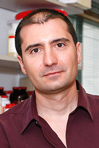 Bernardo Sabatini, M.D., Ph.D.
