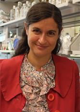 Susanne E. Ahmari, M.D., Ph.D. - Brain & Behavior Research Expert on adhd