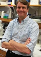 Stewart A. Anderson, M.D.