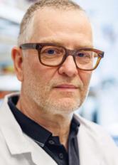 Paul Frankland, Ph.D.