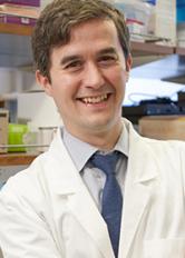 Conor Liston, M.D., Ph.D. - Brain & Behavior Research expert on schizophrenia